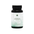 Kép 1/3 - Lactobacillus Acidophilus 60 kapszula - G&amp;G