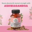 Kép 7/10 - Bio Ashwagandha 60 kapszula - Organic India