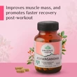 Kép 10/10 - Bio Ashwagandha 60 kapszula - Organic India