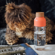 Kép 2/4 - Ice Birds BPA mentes műanyag kulacs 720ml - Quokka