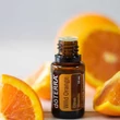Kép 4/4 - Wild Orange – Vadnarancs illóolaj 15 ml - doTERRA