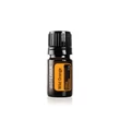 Kép 5/11 - AromaTouch Technique Kit - doTERRA