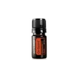 Kép 7/11 - AromaTouch Technique Kit - doTERRA