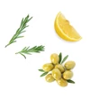 Kép 3/3 - EO Mega+ táplálékkiegészítő hal és olívaolajjal - 15 tasak - DoTerra