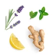 Kép 2/2 - VMG+ növényi alapú multivitamin‑és ásványi komplex - 30 tasak - DoTerra