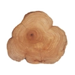 Kép 2/2 - Cedarwood – Cédrusfa illóolaj 15 ml - doTERRA