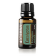 Kép 1/2 - Eucalyptus – Eukaplitusz illóolaj 15 ml - doTERRA