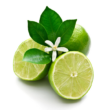 Picture 2/2 -Lime essential oil 15 ml - doTERRA