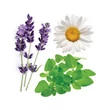 Kép 2/2 - Serenity Pihentető keverék 15 ml - doTERRA