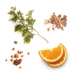 Kép 2/2 - Hygge - Meghittségteremtő keverék 15ml - doTERRA
