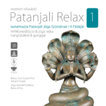 Virinchi Shakti: MantraSOUND Meditation 1. (CD)