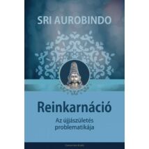 Sri Aurobindo - Reinkarnáció, Az újjászületés problematikája