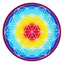 Mandala window sticker