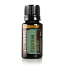 Cypress essential oil 15 ml - doTERRA