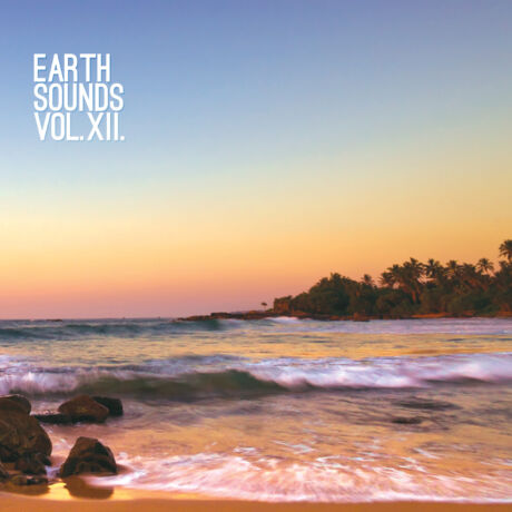Earth Sounds Vol​.​XII.   CD