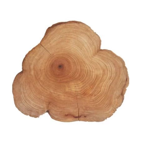 Cedar Wood Magyarul