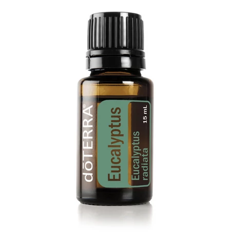 Eucalyptus – Eukaplitusz illóolaj 15 ml - doTERRA