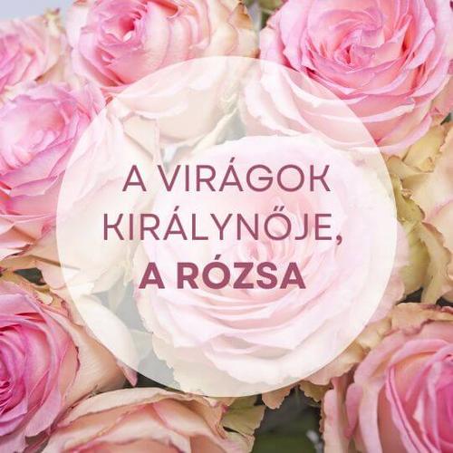 A virágok királynője, a rózsa - Elképesztő pozitív hatások testre, lélekre és szellemre