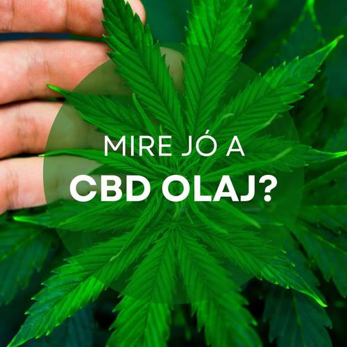 A csodás CBD olaj, ami megteremti az egyensúlyt