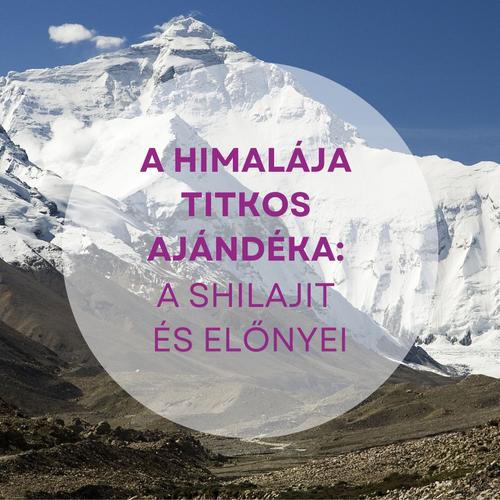 A Himalája titkos ajándéka: a shilajit és előnyei