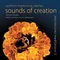 VIRINCHI MANTRASOUND - Sounds of Creation | meditációs zene, teremtés mantrák MP3
