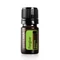 Forgive Megújító keverék olaj 5ml - doTERRA