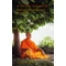 Sivarama Swami - A Swami szemével, élet egy kizökkent világban